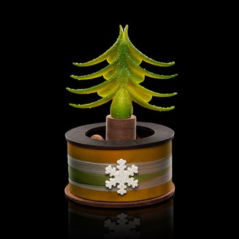 Sapin de Noël - Rupture de stock