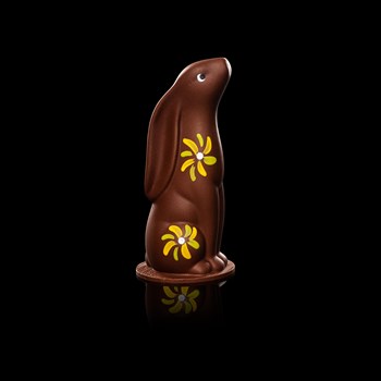 Lapin long - Noir ou Lait, garni amandes et noisettes enrobées, fritures, choconougat, moyen : 300 gr 42.- ou Grand 660 gr 69.-