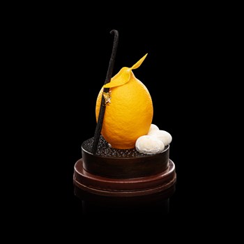 Tartelette au citron - Chocolat noir ou blanc, socle praliné citron et feuilletine, garni amandes et noisettes enrobées, chocolats, oeufs nougatine, 420 gr 62.-