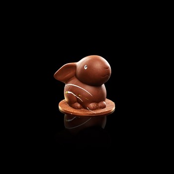 Little rabbit - Green : milk chocolate - Yellow : dark chocolate, garnished with chocolate almonds and hazelnuts, chocolates, nougatine eggs, 140 gr 19.-