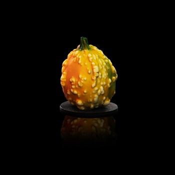 Courge - Chocolat lait, amandes et noisettes enrobées 150g 28.-