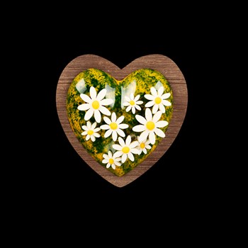 Coeur fleurs  - Chocolat noir et blanc, amandes, noisettes, et petits coeurs en chocolat 220g 39.-