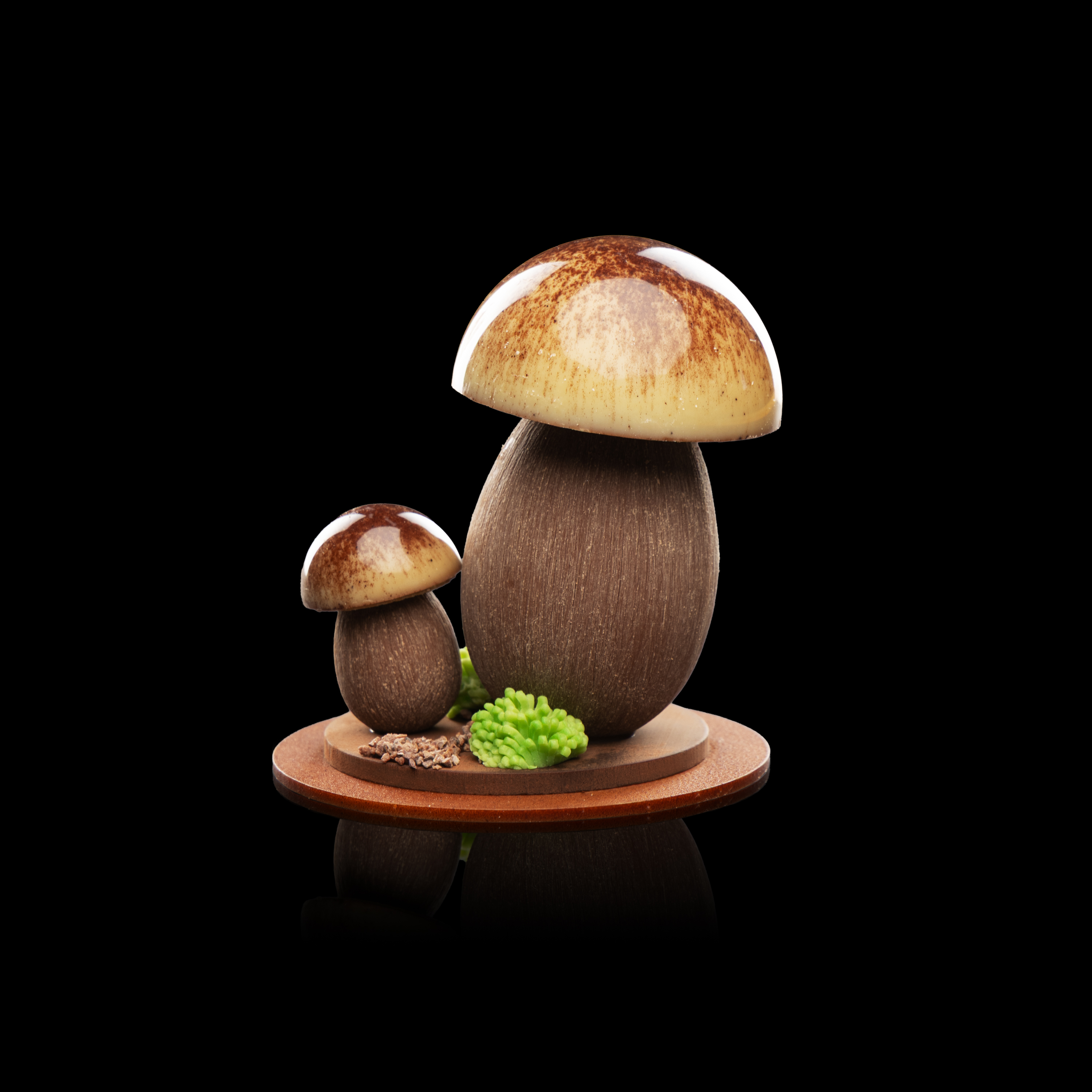 Champignons - Chocolat blanc et noir, praliné noisette, 160g 33.-