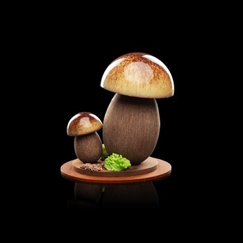 Mushroom - Dark and white chocolate with hazelnut praline 150g CHF 32.–