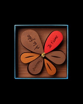 Coffret "Pétale de Fleur  - Chocolat lait et noir, Pétale: praliné pistache, praliné noisette caramel, praliné noix de cajoux feuilltine 120g 22.-